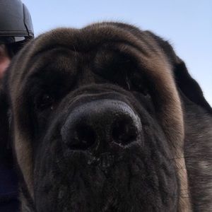 Meet your Posher, Gates